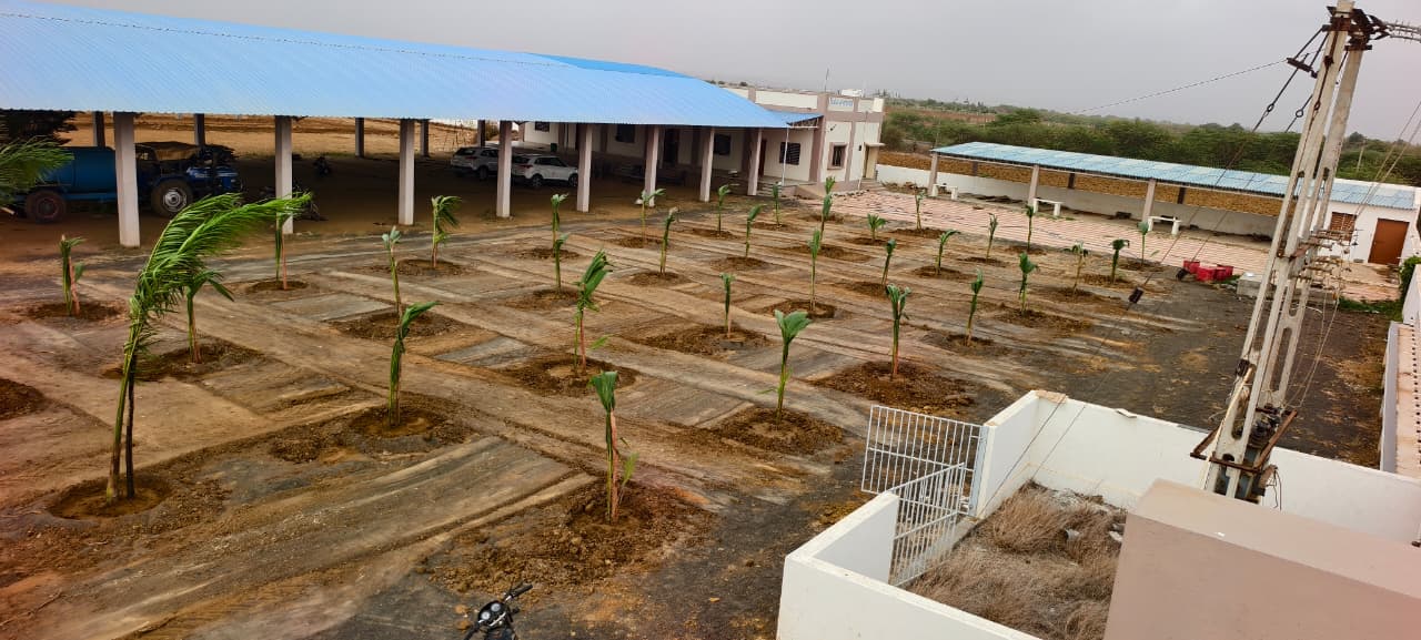 Tree Plantation Drive 🌳